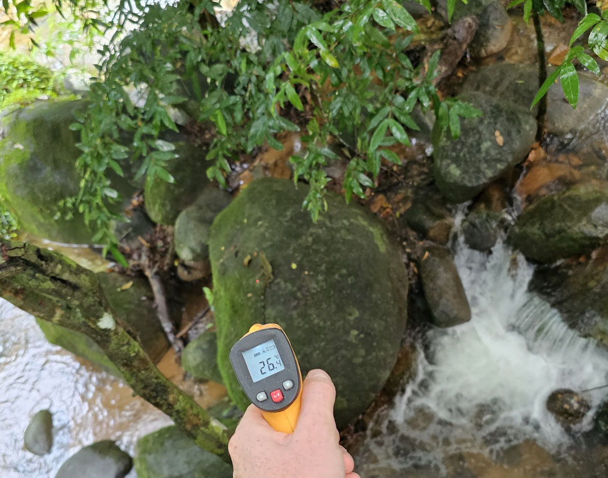 Measuring the surface temperature of a thermoconforming female Water Dragon
